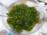 Vancouver Island Harvest lunch  British Columbia Government House: Executive Chef Christophe Letards sea lettuce (Ulva lactuca) caviar.